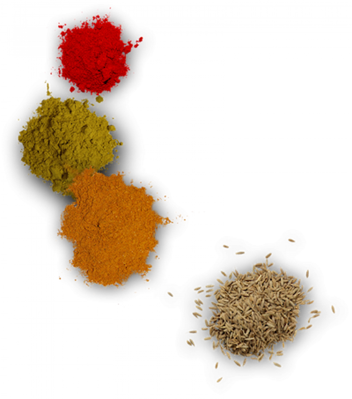 spices-1.png