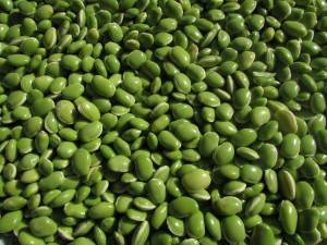 Green Legumes