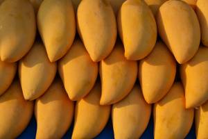 Indian Food 101: Mangoes for Mango Lassi